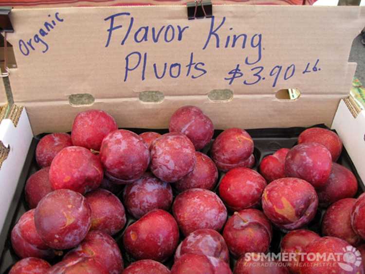 You are currently viewing Prunes Flavour King: Comment faire pousser des arbres Flavour King Pluot