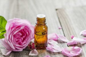 Lire la suite à propos de l’article Utilisations de l’huile de rose : apprenez à fabriquer de l’huile de rose à la maison