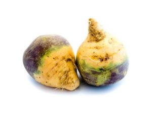 Lire la suite à propos de l’article Récolte du rutabaga et comment conserver le rutabaga cultivé dans le jardin