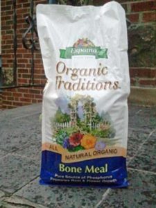 Lire la suite à propos de l’article Informations sur l'utilisation de la farine d'os pour les plantes