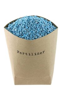 Lire la suite à propos de l’article Quand fertiliser les plantes : meilleurs moments pour l’application de l’engrais