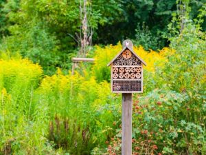 Lire la suite à propos de l’article Transformez votre jardin en sanctuaire d’abeilles