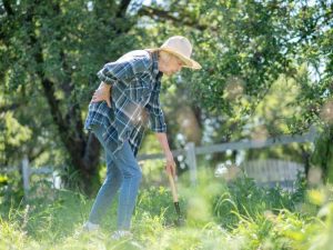Lire la suite à propos de l’article Prévenez les maux de dos liés au jardinage grâce à ces trucs et astuces