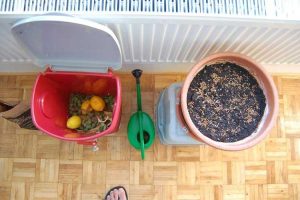 Lire la suite à propos de l’article Faire du compost à l'intérieur – Comment composter à la maison