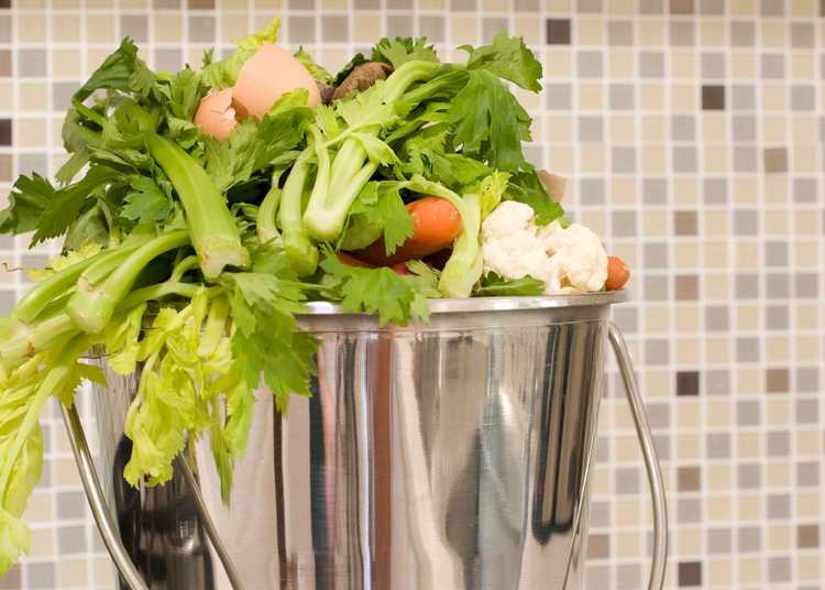 Lire la suite à propos de l’article Compostage de cuisine : comment composter les restes de nourriture de la cuisine