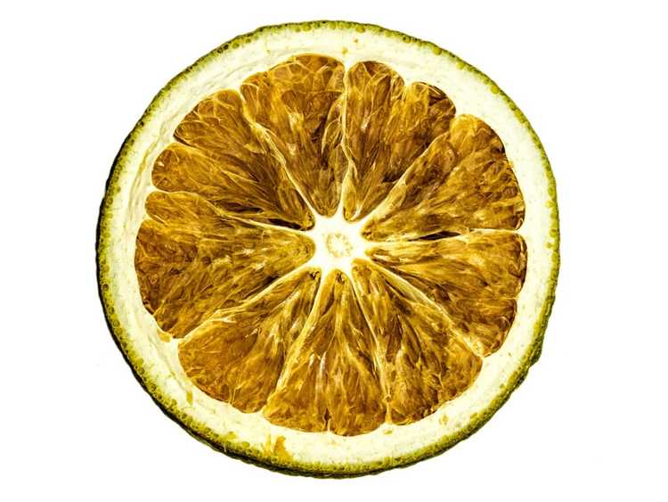 You are currently viewing Fruits de citron vert sec – Quelles sont les causes des citrons verts secs