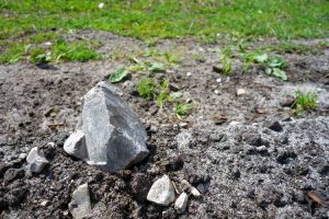 Lire la suite à propos de l’article Roches dans le jardin : comment travailler avec un sol rocheux