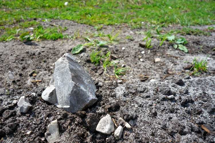 You are currently viewing Roches dans le jardin : comment travailler avec un sol rocheux