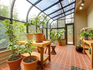 Lire la suite à propos de l’article Légumes de véranda d’hiver : planter un jardin de véranda en hiver