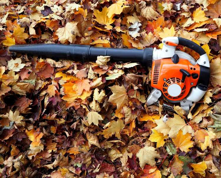 Lire la suite à propos de l’article Hivernage des outils électriques – Conseils pour ranger les outils électriques de pelouse
