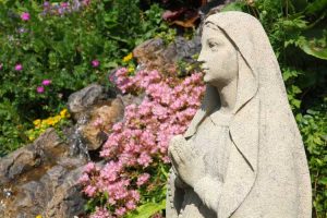 Lire la suite à propos de l’article Conception de jardin biblique : conseils pour créer un jardin biblique