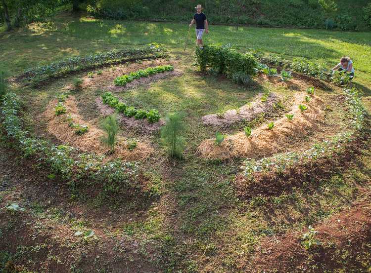 You are currently viewing Qu'est-ce qu'un jardin en permaculture : l'essence du jardinage en permaculture