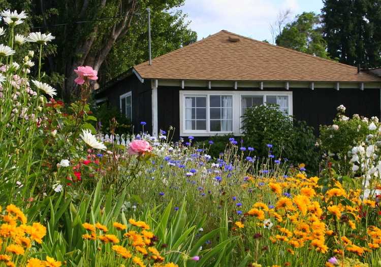 Lire la suite à propos de l’article Apprenez à planter un jardin de cottage anglais de base