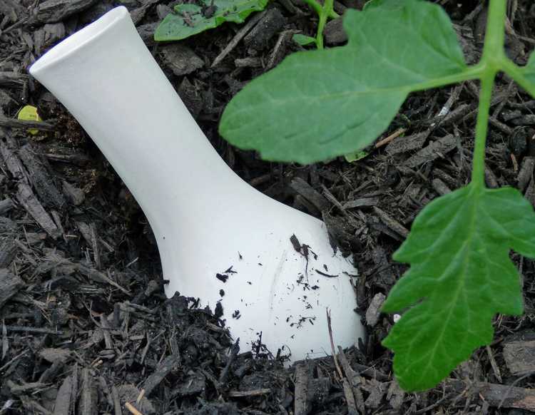 You are currently viewing Qu'est-ce qu'un Olla : découvrez les systèmes d'arrosage Olla