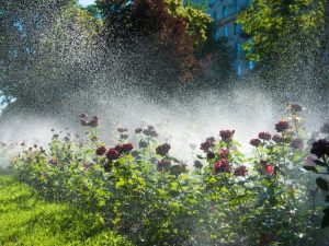 Lire la suite à propos de l’article Systèmes d'arrosage de jardin – Choisir un système d'arrosage pour les plantes