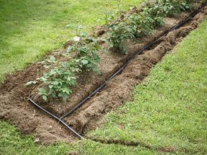 Lire la suite à propos de l’article Conseils d'installation d'irrigation – Installation d'un système d'irrigation