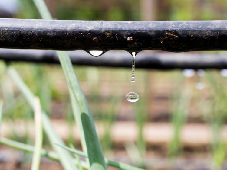 You are currently viewing Systèmes d'irrigation pour les environnements Xeriscape