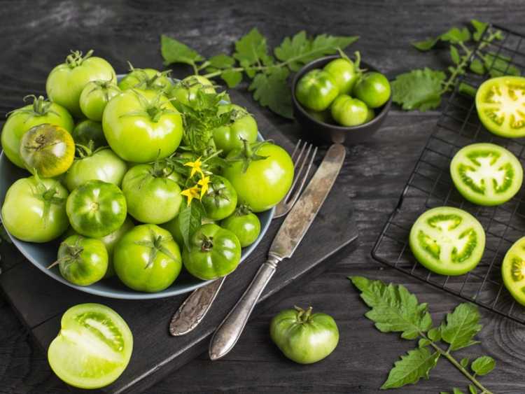 You are currently viewing Que faire avec les tomates vertes du jardin