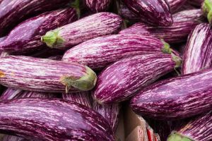 Lire la suite à propos de l’article Entretien des aubergines 'Graffiti' – Qu'est-ce qu'une aubergine graffiti