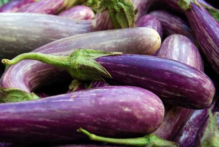 You are currently viewing Pourquoi mes aubergines sont-elles à grains – Que faire pour les aubergines à grains