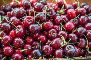 Lire la suite à propos de l’article Sonata Cherry Info – Comment faire pousser des cerises Sonata dans le jardin