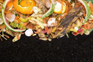 Lire la suite à propos de l’article Le compost peut-il être utilisé comme paillis : informations sur l'utilisation du compost comme paillis de jardin