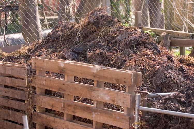 You are currently viewing Jardiner avec du compost : comment le compost aide les plantes et le sol