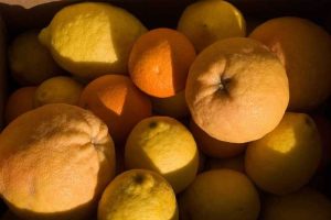 Lire la suite à propos de l’article Qu'est-ce que l'aigreur des fruits : comment résoudre les problèmes de fruits aigres