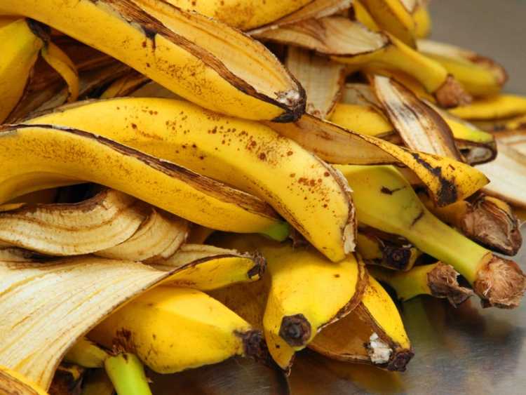 Lire la suite à propos de l’article Bananes en compost : comment composter les pelures de banane