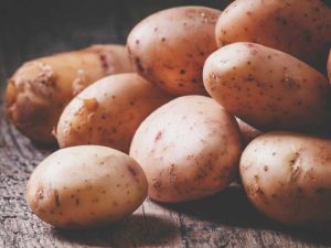 Lire la suite à propos de l’article Utilisations inhabituelles de pommes de terre – Conseils originaux pour utiliser les pommes de terre du jardin