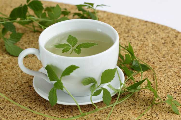 Lire la suite à propos de l’article Soins aux herbes Immortalité : Conseils pour cultiver des herbes Jiaogulan à la maison