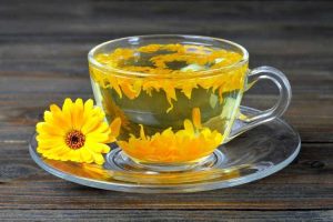 Lire la suite à propos de l’article Comment faire du thé au calendula – Cultiver et récolter du calendula pour le thé