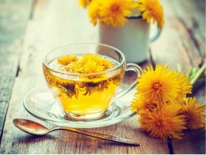 Lire la suite à propos de l’article Thé de pissenlit sain – Le thé de pissenlit est-il bon pour vous