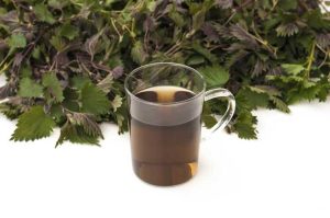 Lire la suite à propos de l’article Tisane pour plantes : informations sur les engrais à base d'herbes