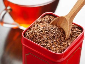 Lire la suite à propos de l’article Comment faire pousser du thé Rooibos : Cultiver de l'Aspalathus Linearis pour le thé Rooibos