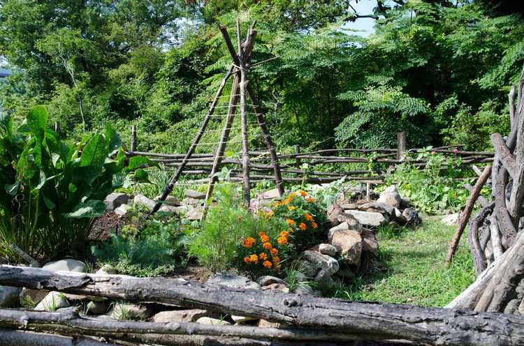 You are currently viewing Treillis de jardin tipi : utiliser des structures de tipi dans le potager