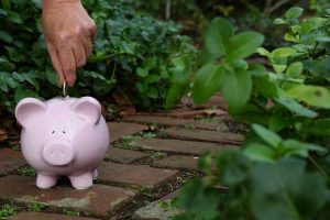 Lire la suite à propos de l’article Idées de jardinage frugal : apprenez à jardiner avec un budget limité