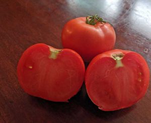 Lire la suite à propos de l’article Utilisations de tomates Champion et plus – Comment faire pousser un plant de tomate Champion