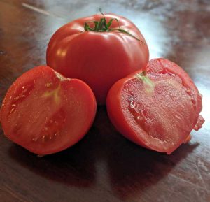 Lire la suite à propos de l’article Tropic Tomato Care – Comment faire pousser des plants de tomates « Tropic »