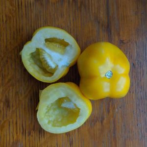 Lire la suite à propos de l’article Informations « Yellow Stuffer » : Comment faire pousser des tomates « Yellow Stuffer »
