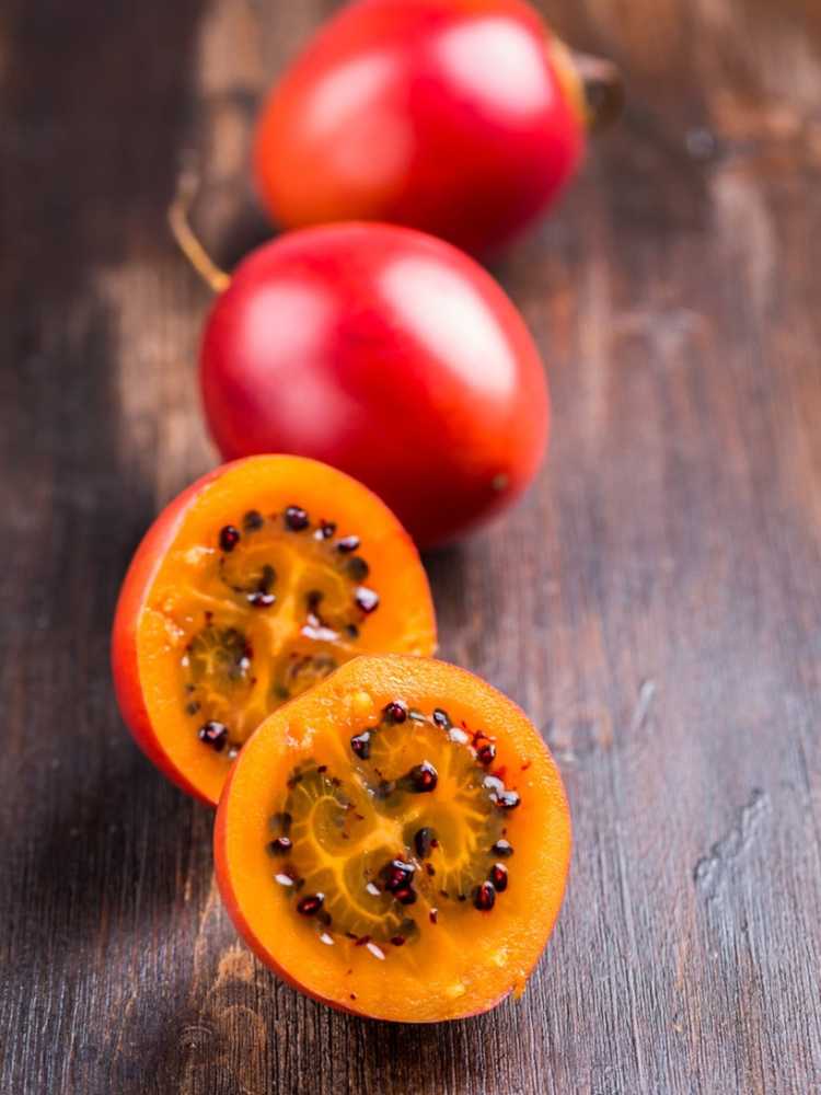 You are currently viewing Tree Tomato Tamarillo: Comment faire pousser un arbre à tomates Tamarillo