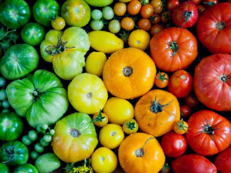 You are currently viewing 6 fruits et légumes hybrides savoureux pour le jardin potager