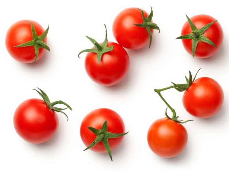 Lire la suite à propos de l’article Tomates miniatures dans le jardin