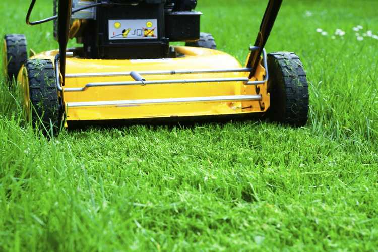 You are currently viewing Conseils pour tondre la pelouse : informations pour tondre correctement votre pelouse