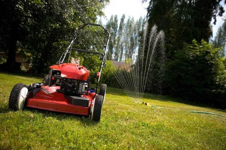 Lire la suite à propos de l’article Conseils pour améliorer la pelouse et réduire l’entretien