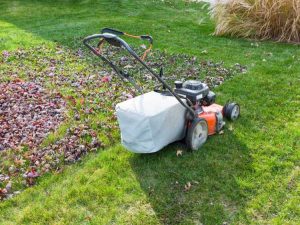 Lire la suite à propos de l’article Entretien de la pelouse en automne : conseils pour l'entretien de la pelouse en automne