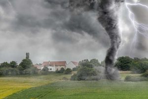Lire la suite à propos de l’article Jardinage à l’épreuve des tornades – Comment protéger votre jardin d’une tornade