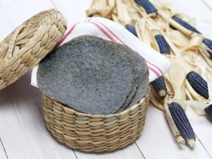 Lire la suite à propos de l’article Comment faire pousser du maïs bleu : meilleures variétés pour les tortillas de maïs bleu cultivées sur place