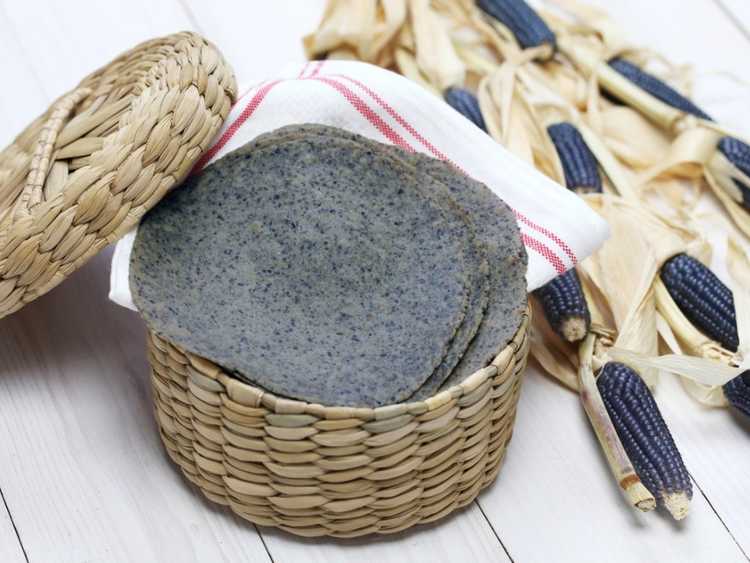 You are currently viewing Comment faire pousser du maïs bleu : meilleures variétés pour les tortillas de maïs bleu cultivées sur place