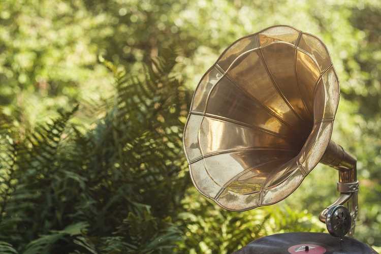 You are currently viewing Jouer de la musique pour les plantes – Comment la musique affecte-t-elle la croissance des plantes